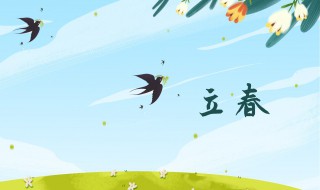 关于立春的知识或内容（关于立春的知识或内容有哪些）
