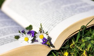 爱情说说表白最感动的句子 爱情表白最感动的短句子