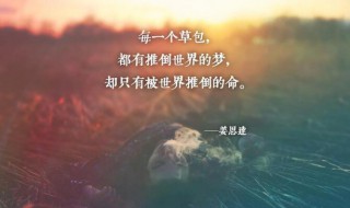 简短一句话心灵鸡汤励志句子 简短一句话心灵鸡汤励志句子