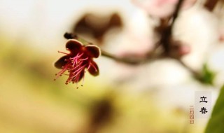 二月春天的古诗句（关于二月春天的诗句）