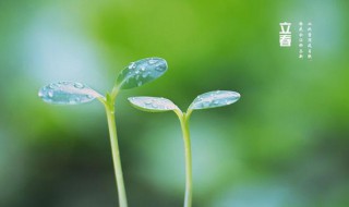 立春是哪一天（23年立春是哪一天）