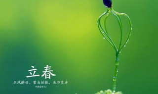 立春古诗有哪些 立春的诗有哪些