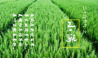 2021小满节气句子最新精选 小满节气短句