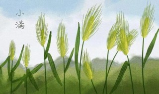 小满经典句子总结 小满的名句