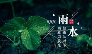 雨水节气特点有哪些（雨水气节有什么特点）