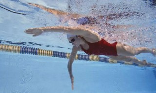 自由泳划手发力技巧 自由泳划的手怎么发力