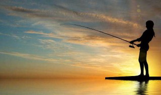 冬天夜钓鲈鱼技巧（冬天夜钓鲈鱼技巧和方法）