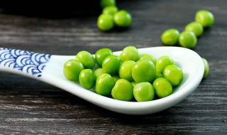 鲜青豆粒怎么保存 怎样保鲜青豆粒