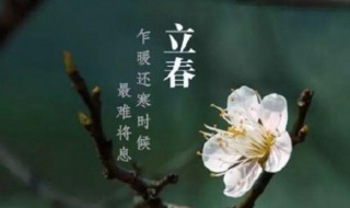 立春的民俗文化（立春的民俗文化有哪些）