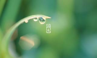 雨水节气创意文案（雨水节气创意文案怎么写）