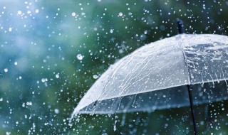 关于雨水优美祝福的句子? 雨水的祝福好句子