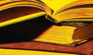 别董大古诗的意思及诗意 别董大古诗的解释