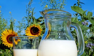 纯牛奶浇花的正确方法（纯牛奶浇花的正确方法图片）