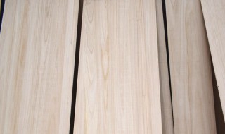 桐木和泡桐木一样吗 桐木是泡桐木吗