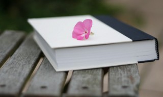 短在文言文中是什么意思 文言文中的意思