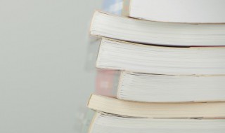 质在文言文中的意思 质在文言文中什么意思