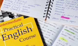 in的对应词是什么（thin的对应词是什么）