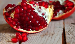 石榴靠什么传播种子（石榴靠什么传播种子二年级）