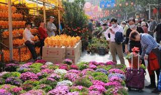 什么花的花语是友情 什么花的花语是友情结束