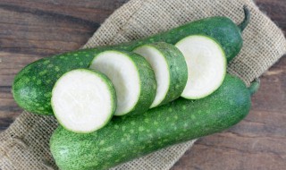 节瓜什么时候种植最好 节瓜什么时候种