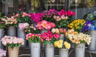 什么花的花语是禁忌之恋 表示禁忌之恋的花语