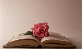 中庸之道是什么意思详细含义 中庸之道是什么意思啊