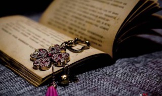 绿肥红瘦暗指什么感情和意思（绿肥红瘦暗指什么感情和意思啊）