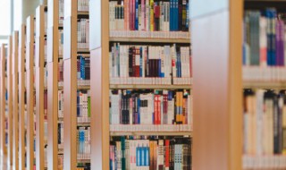 节日热闹的夜景成语（描写节日热闹的夜景的成语）