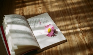 茨门的意思是什么（具茨是什么意思）