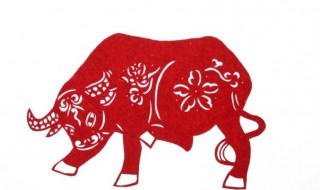 生肖牛和牛的婚姻（生肖牛和牛的婚姻怎样）