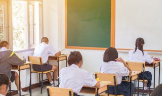 好考又有用的资历证书（好考又有用的资历证书有哪些）