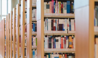 仅的组词 紧的组词