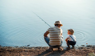甲鱼怎么钓（野生甲鱼怎么钓）