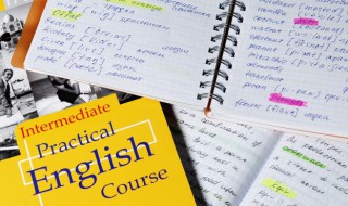 white的对应词 white,的对应词