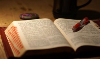 树高千丈落叶归根是什么意思 树高千丈落叶归根什么意思