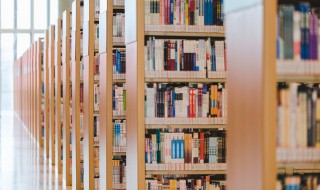 99重阳节诗句 关于99重阳节的诗