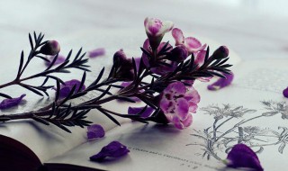 丢下瓦砖儿一个个要着地是什么意思