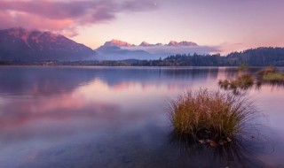 优秀经典美文（优秀经典美文摘抄）