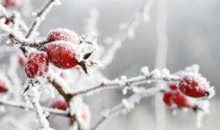 提醒别人添衣保暖的句子 提醒别人添衣保暖的句子幽默