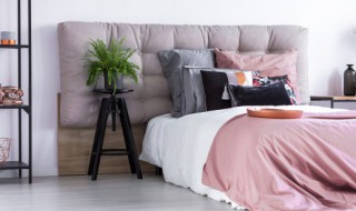 卧室放什么增加财运（卧室放什么招财好运）