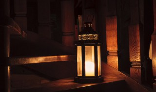 晚上好正能量优美句子(晚上好正能量优美句子英文)