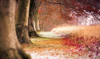 励志正能量早安朋友圈选择（励志的早安朋友圈）