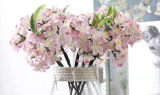 假花为什么不能放客厅（假花为什么不能放客厅里）