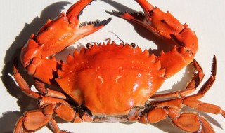 海蟹哪些部位不能吃 蟹哪些部位不可以吃