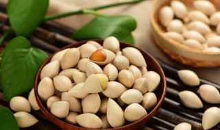 银杏果储存方法 银杏果储存方法视频