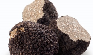 黑松露储存方法 黑松露保存方法