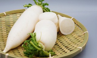 大萝卜储存方法（大萝卜储存方法影）