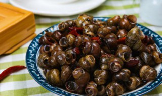 什么样的田螺不能吃(什么样的田螺不能吃图片)