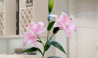 客厅摆放假花不好吗 假花放客厅是不是不好