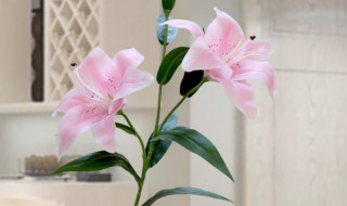 客厅里摆放假花好吗（客厅里摆放假花好不好）